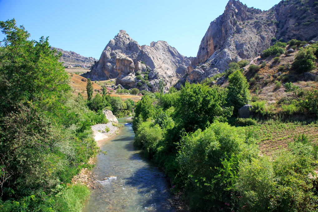 Seljuk Bridge